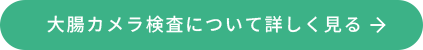 大腸カメラ検査について詳しく見る→